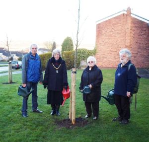 Chilwell Tree Planting